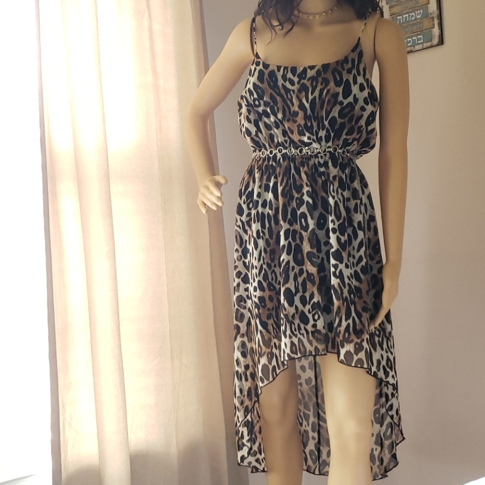 Forever 21 hi-low animal print dress chiffon M